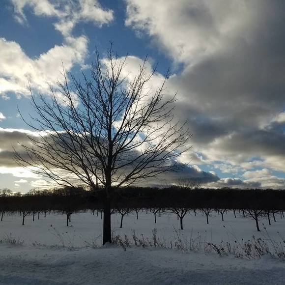 Meet your Posher, Heather - Picture 1 of 1